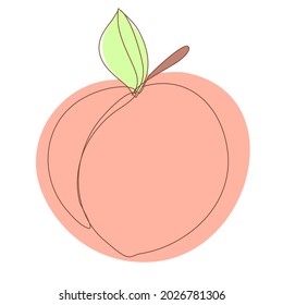 Vector Peach in Continuous Line Drawing. Sketchy Single Apricot. Outline Simple Artwork with Editable Stroke.
