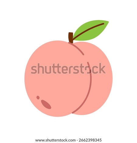 Vector peach fruit illustration. Soft pink fruit with leaf in flat style. Sweet summer food clipart. Cute sweet peach.