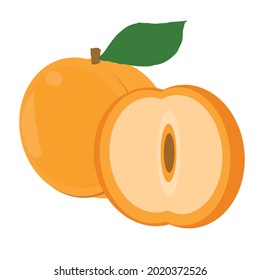 vector peach fruit on white background