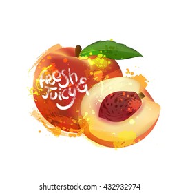 Vector peach  illustration.  for labels, juice package, bar menu.