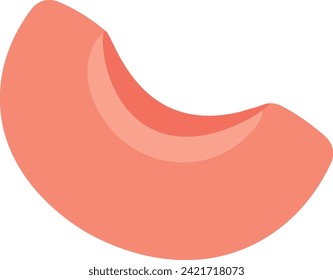 Vector peach, nectarine or apricot wedge, slice