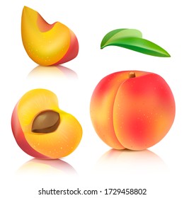 白桃 のイラスト素材 画像 ベクター画像 Shutterstock