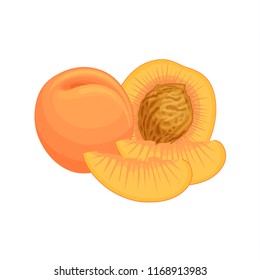 Vector peach. Still life of whole, chopped and half a fruit. Template with a composition of fresh peaches.
