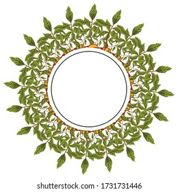 Vector  peach twig  wreath illustration. Illustration for post card, wedding, banner. Vintage natural botanic illustration of peach frame
