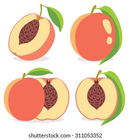 Vector peaches. Collection of vector peach fruits, whole and halves