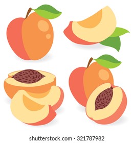 Vector peaches. Cut peach fruits, collection of vector illustration