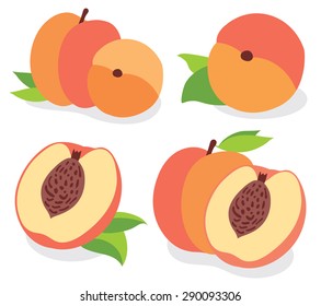 Vector peaches. Fresh peach fruits collection, vector illustrations