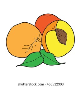 Vector peaches illustration.