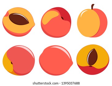 vector peaches isolated on white background. a collection of whole fruits and halves.