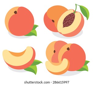 Vector peaches. Peach fruits, collection of vector illustrations