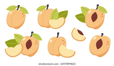 Vector peaches set isolated on a white background. Cute cartoon illustration of organic food. Life compositions, whole and sliced natural fruites with green leaves