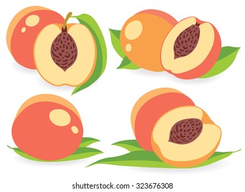 Vector peaches. Whole and cut in half peach fruits, collection of vector illustrations