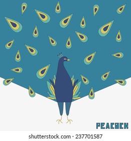 Vector peacock, (Can be used as texture for cards, invitations, DIY projects, web sites or for any other design) 