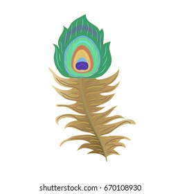 vector of peacock feather