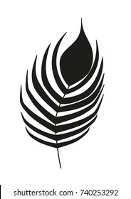 vector peacock feather