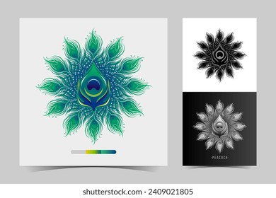 Vector peacock feather illustration logo, with green and blue gradations, becomes a beauty, suitable for your promotional media design
