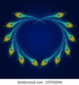 Vector peacock feathers on blue background with space for text.