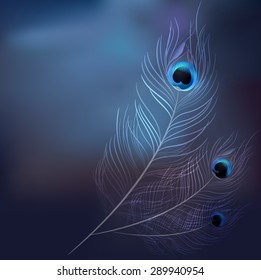 vector peacock on blur background
