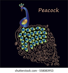 Vector Peacock, shining tail bird on a dark background, a florid lines
