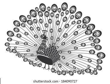 Vector peafowl illustration