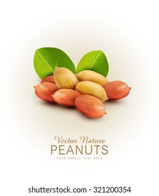 Vector peanut kernels isolated with green leaves (design element)