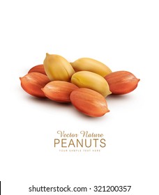 Vector peanut kernels isolated on a white background (design element)