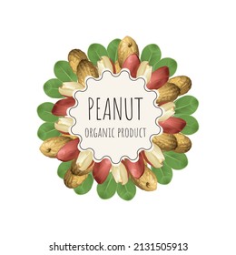 Vector peanut label for package. Collection with different nuts labels: hazelnut, walnut, pistachio, peanut, brazil nut, cashew, almond. Organic and natural food. Craft background
