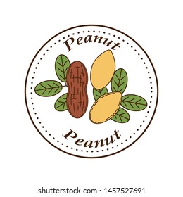 Vector peanut logo in cartoon style. illustration for design and web isolated on white background.