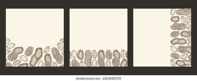 Vector peanuts banners with copy space. Peanuts seeds and shells illustration