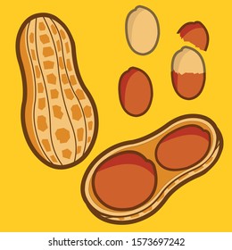 Vector peanuts in cartoon style for template label, packaging snackand emblem farmer market design.