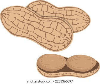 Maní vectorial en estilo de dibujos animados para la etiqueta de plantilla, el embalaje de aperitivos y el diseño del mercado de los productores de emblemas.