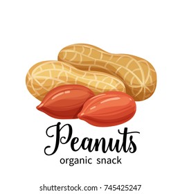 Vector peanuts in cartoon style for template label, packaging snackand emblem farmer market design.