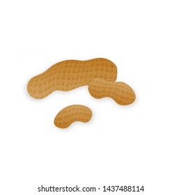 Vector peanuts in realistic style on white background for template label, packaging snack and emblem farmer market design