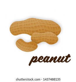 Vector peanuts in realistic style on white background for template label, packaging snack and emblem farmer market design