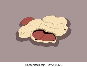 Vector peanuts in the shells