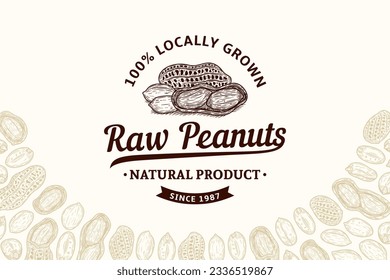 Vector peanuts vintage logo. Peanut seeds and shells illustration