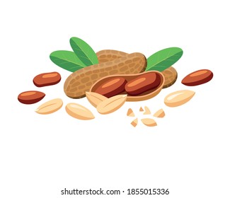 Vector peanuts whole and pieces in cartoon style for label template, snacks packaging emblem farmers market design