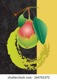  Vector pear with a branch and leaves