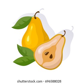 Vector Pear Colorful Illustration Isolated on White Background.
