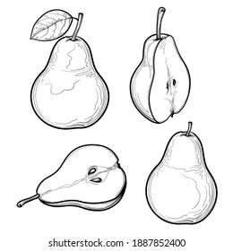 Vector Pear set. Fruit drawings isolated on a white background.