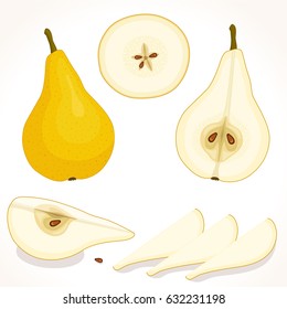Vector pear. Set of whole, sliced, half of pears isolated on white background. Illustration.