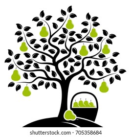 vector pear tree and basket of pears isolated on white background