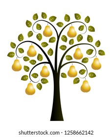 vector pear tree with golden pears isolated on white background