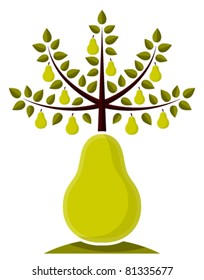 vector pear tree growing from pear on white background