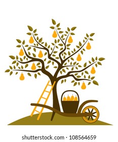 vector pear tree and hand barrow with basket of pears