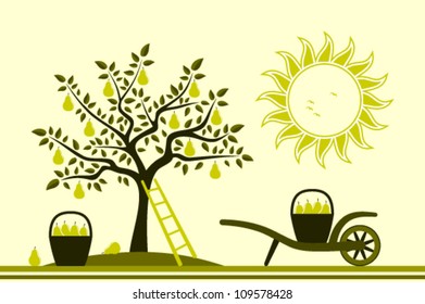 vector pear tree and hand barrow with basket of pears