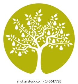 vector pear tree isolated on green round