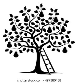 vector pear tree and ladder isolated on white background