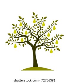 vector pear tree on white background