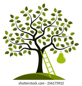 vector pear tree with one big pear isolated on white background